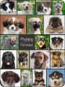 Puppy-licious coloring book each picture from the cover is included in the interior pages to color